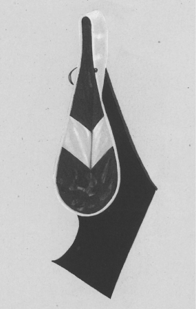 An illustration of a master's hood from a C.E. Ward Company catalogue c.1938-1943.