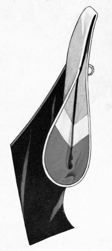 An illustration from a C.E. Ward Company catalogue c.1938-1943 that has been altered to illustrate a Master's hood lined with three colors divided by a chevron.