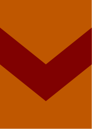 Virginia Tech