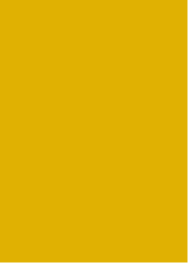 IBAC golden yellow IBAC golden yellow