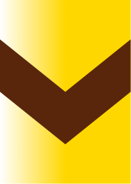 adelphi adelphi