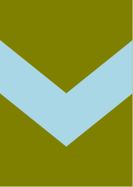 tulane